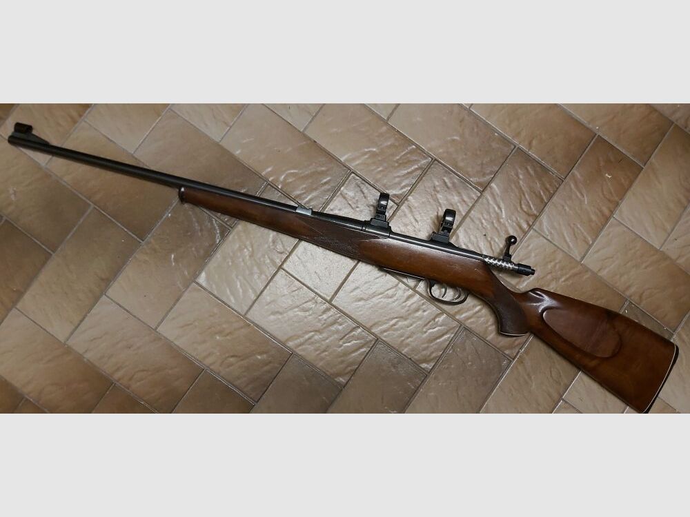 Kriegeskorte - Stuttgart Krico