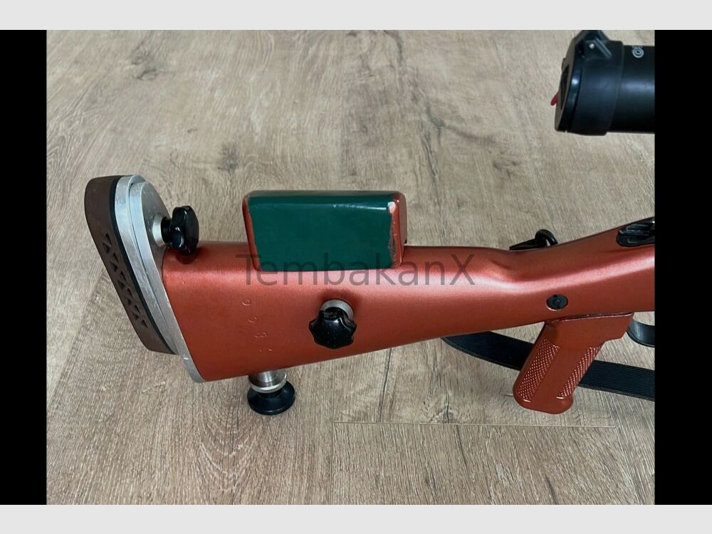 Styria Arms M95 Modifiziert/Umbau .308Win