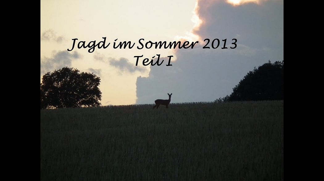 Jagd im Sommer 2013