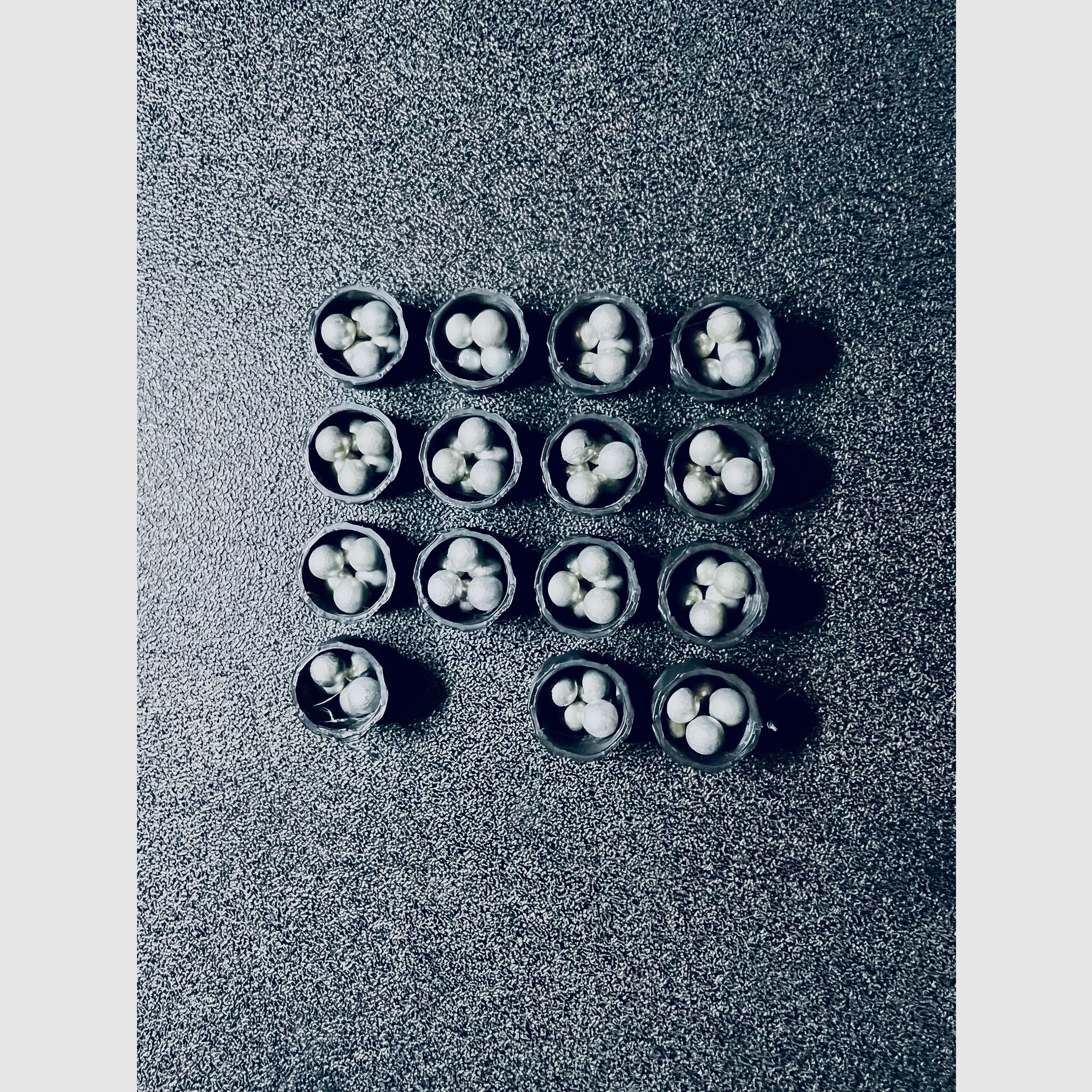 AEA Megalodon / Challenger / 100 x Schrot - Slugs Cal. .50 / .495 –AEA