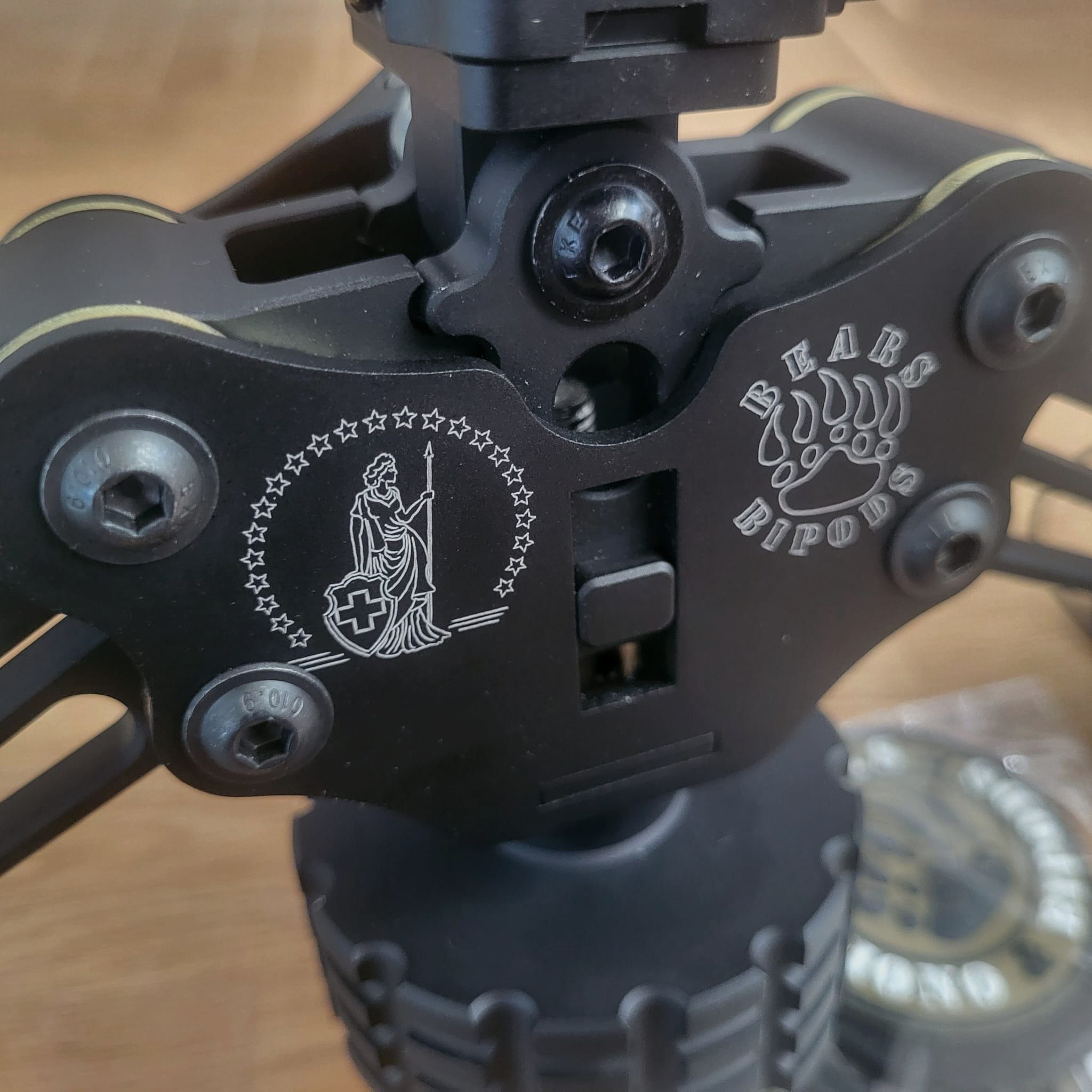 Dein Logo auf dem Zweibein