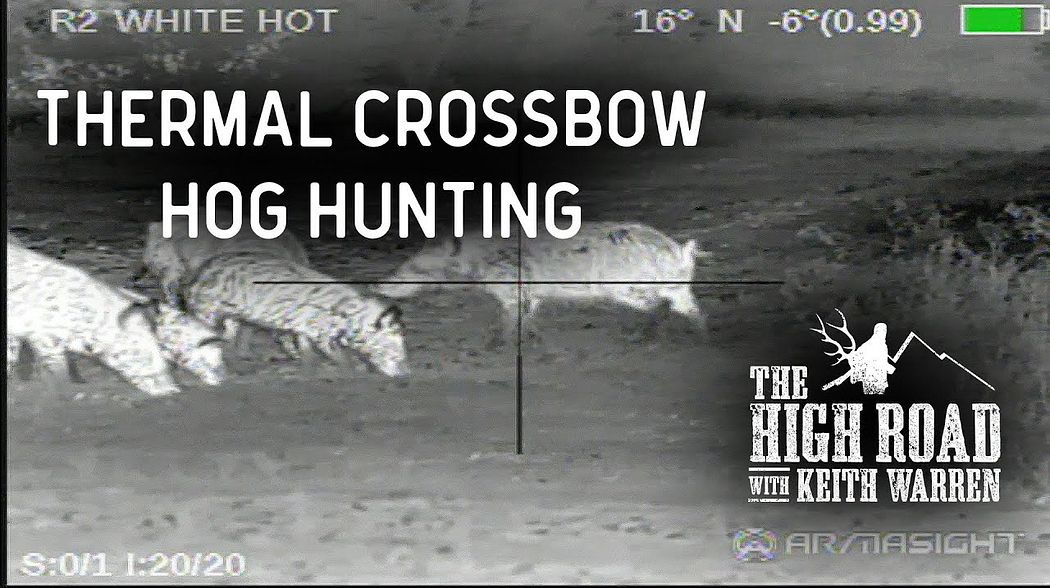 Thermal Crossbow TX Hog and Oregon Black Bear Part 1