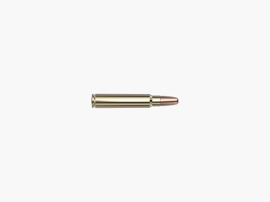 Hornady 375 Ruger 300 gr DGS® – 20 Stk.
