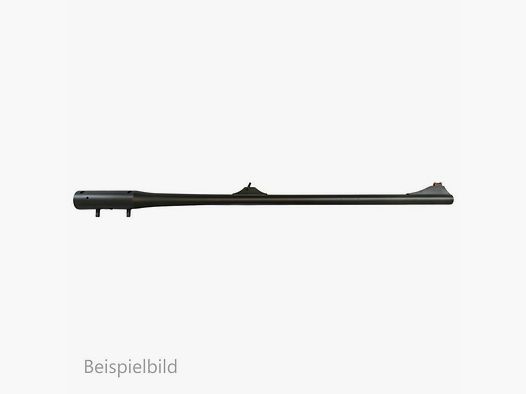 Blaser WL R8
