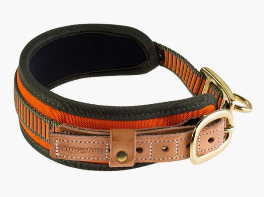 Collier chien de sang orange fluo - Niggeloh - Taille XS - Tour de cou 30/40 cm.