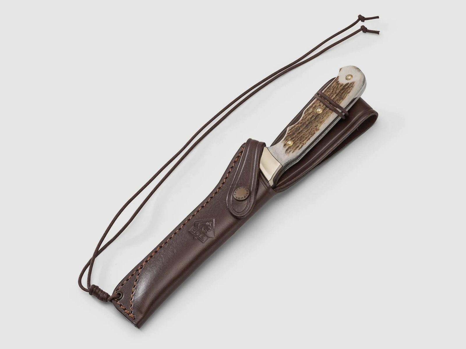 PUMA wildtöter, stag