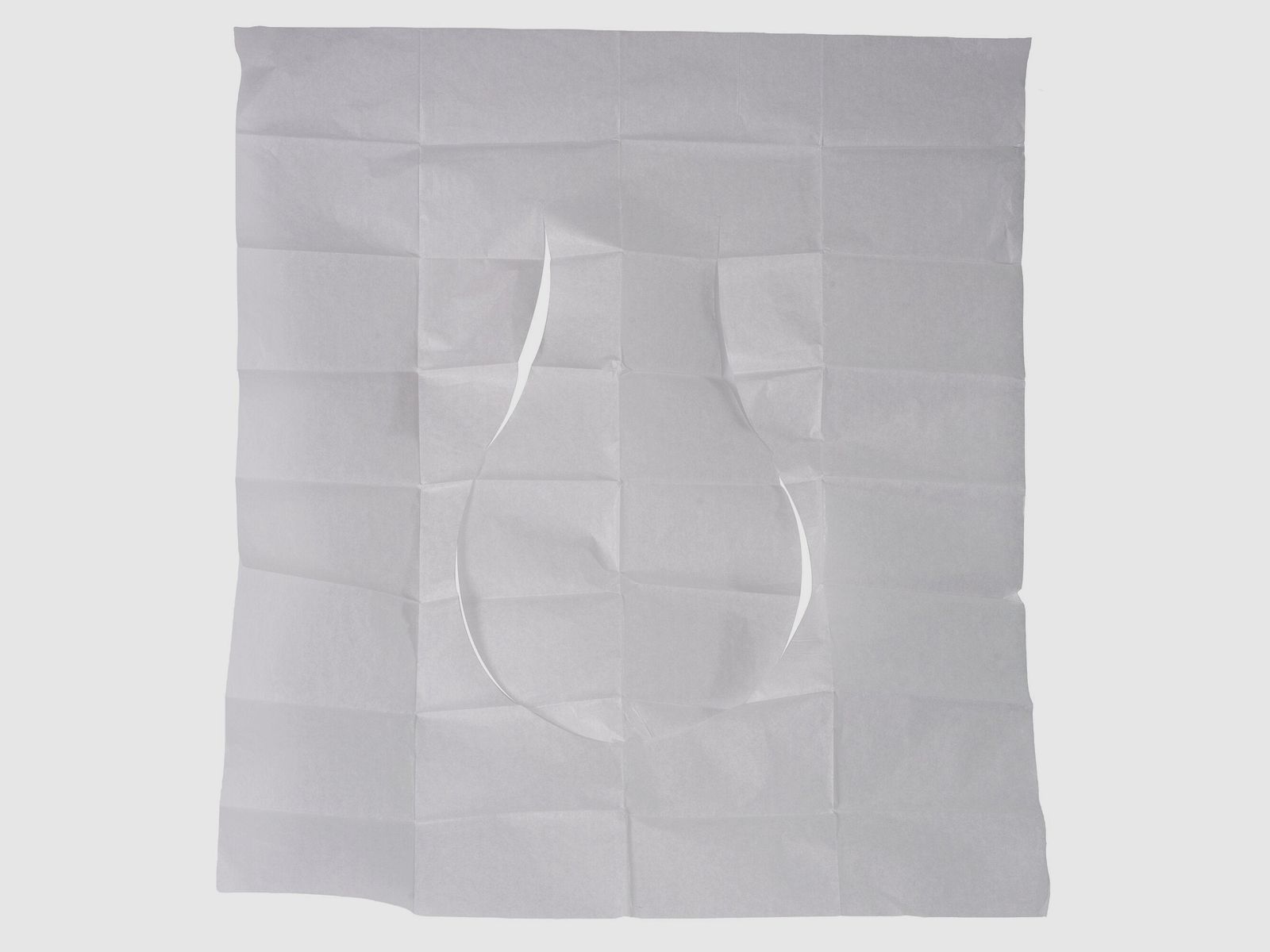 Copriwater (25 pezzi), immagine 1 di 6