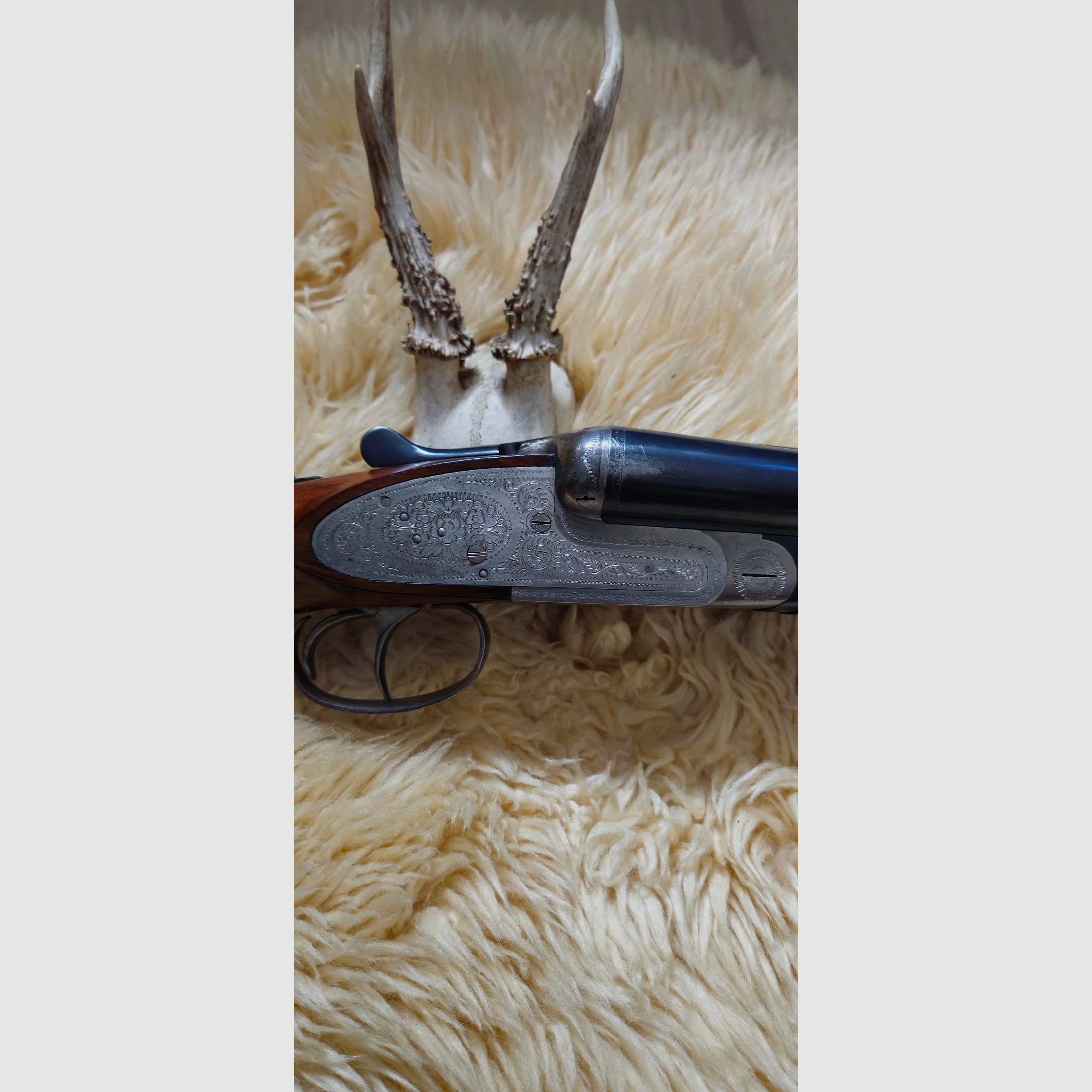 Rottweil shotgun model 94 SE