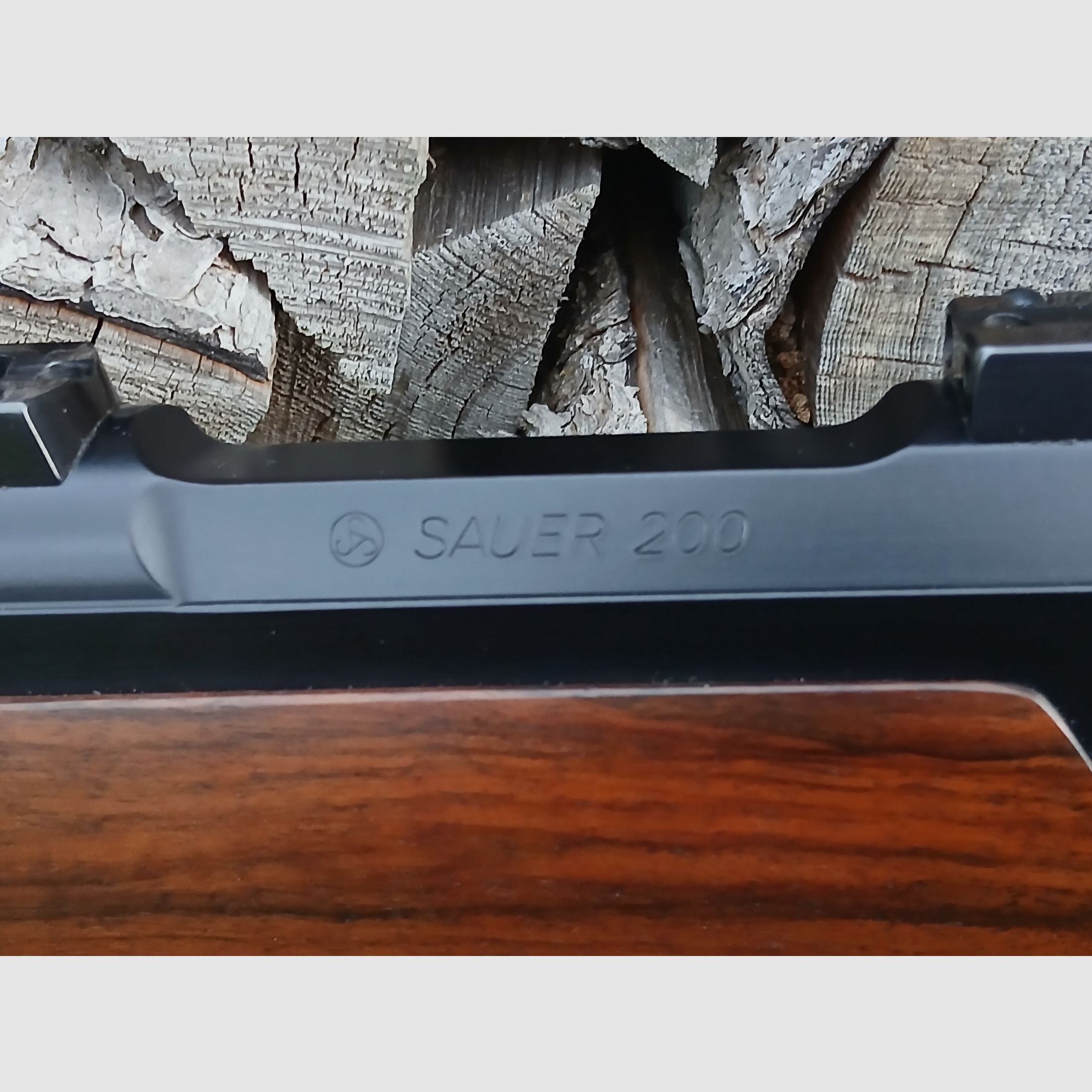 Sauer 200