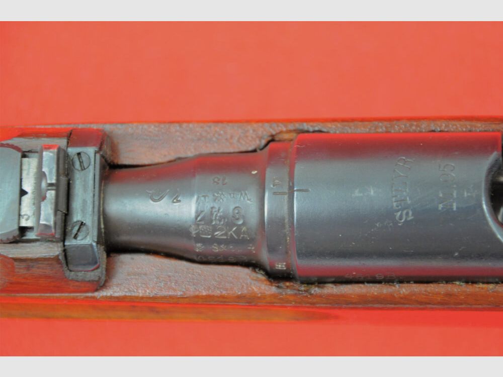 Steyr M1895