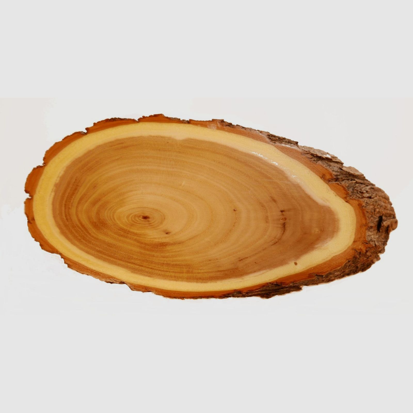 Scudo di Acacia Capriolo