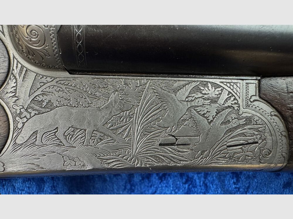 Sauer & Sohn 3000
