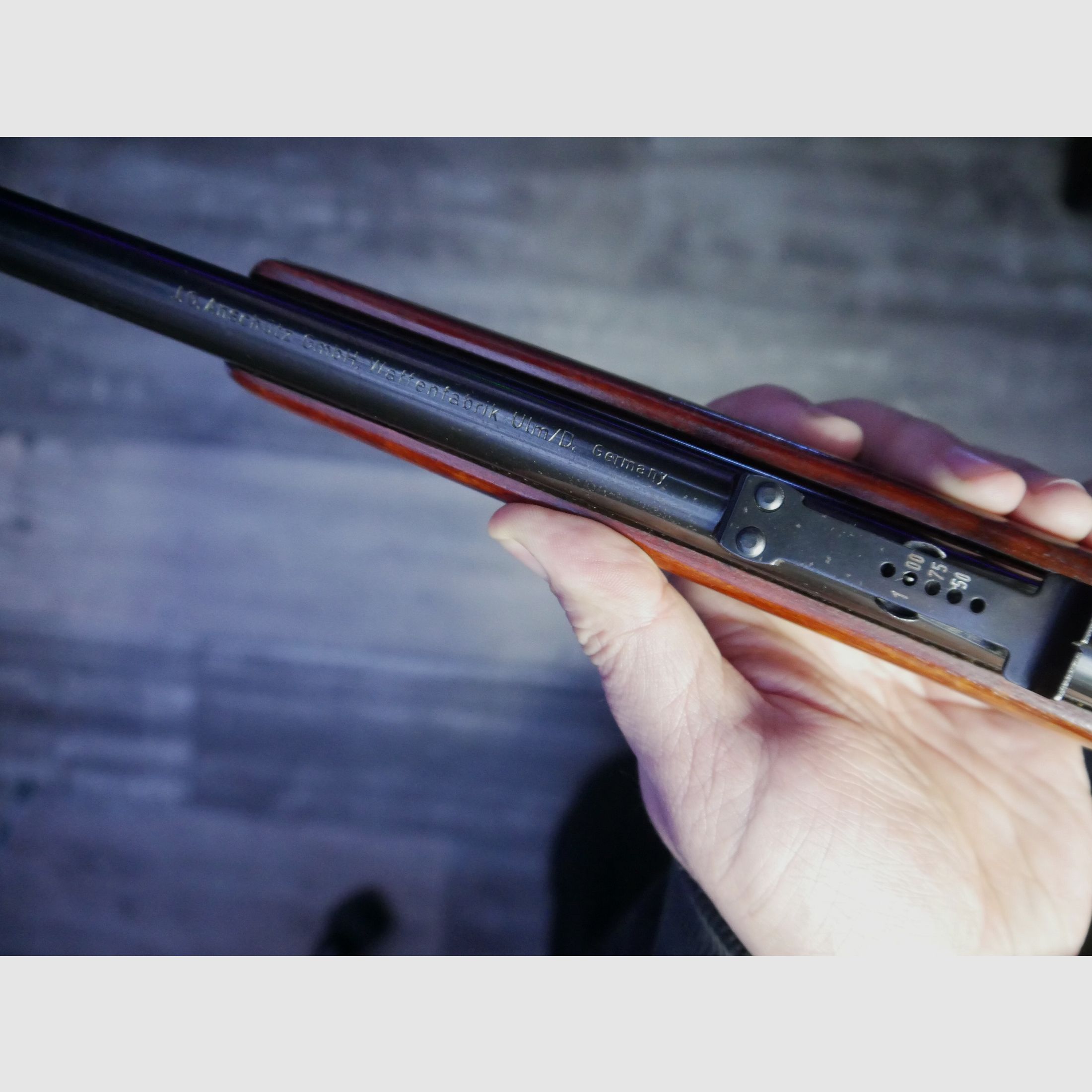 Anschütz single shot .22lr