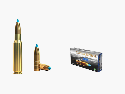 Sellier Bellot TXRG BLUE 308Win 10,7G 165GR