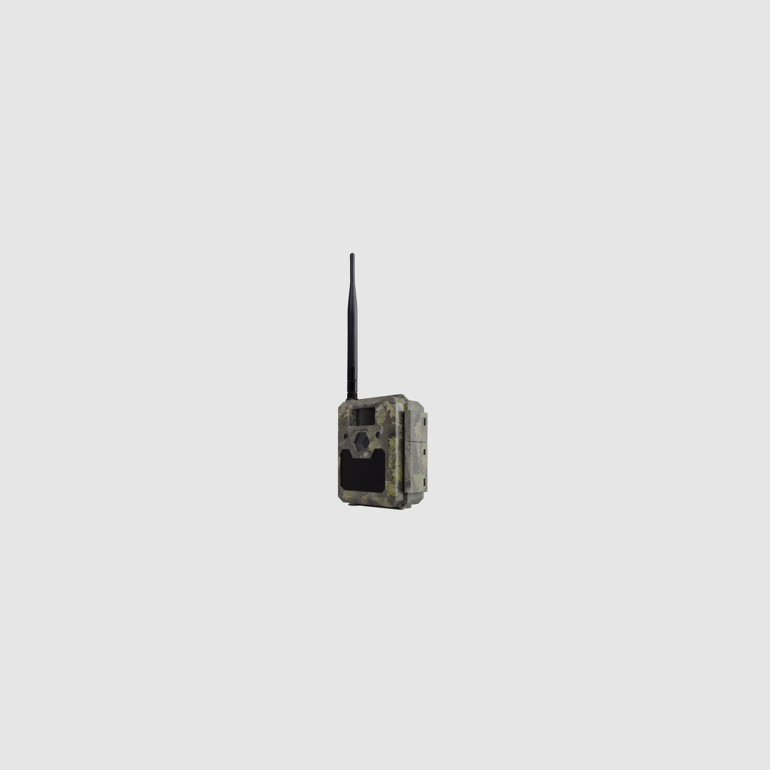 Gehörnklammern Greif, Bild 13 von 21