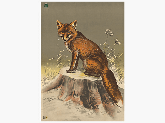 Cible sauvage DJV n° 3 (Renard, 100m)