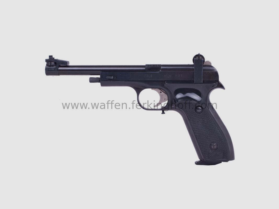 Baikal Margolin MCM 6