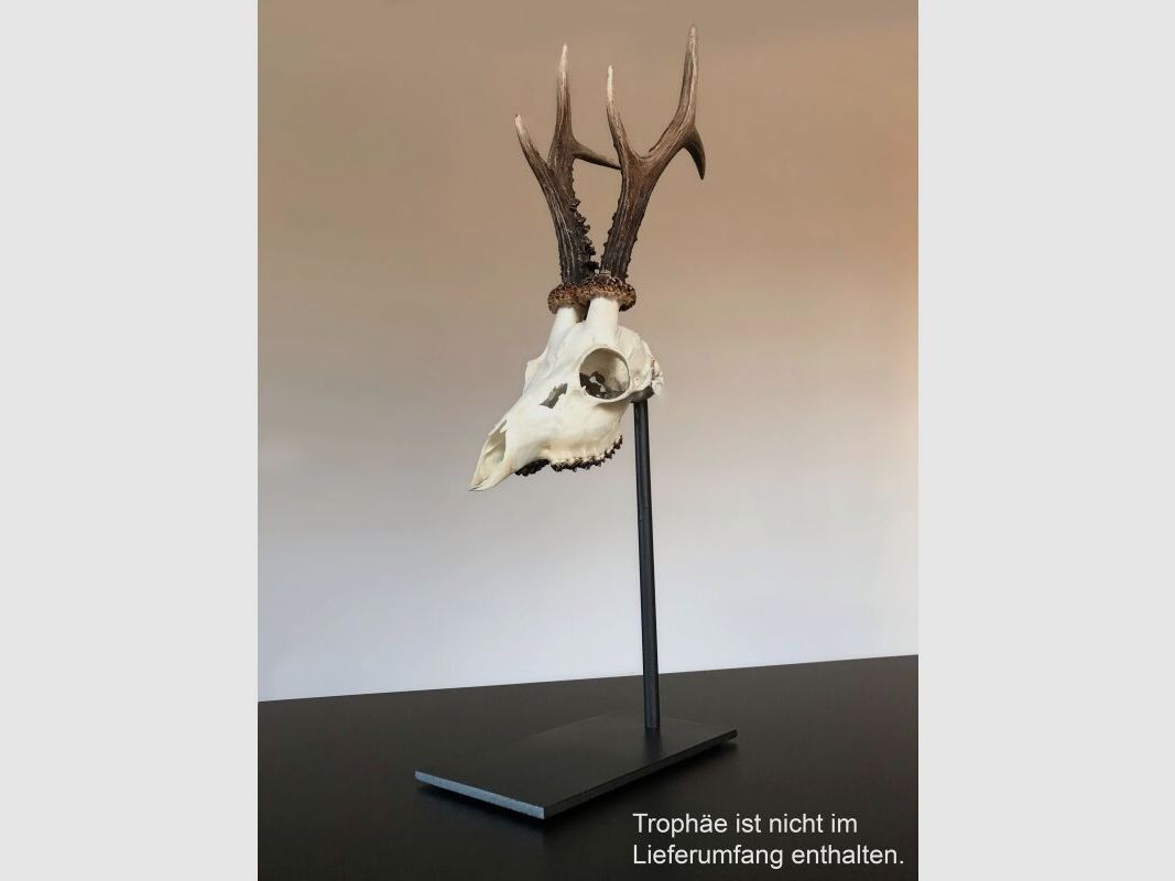 Jagdwelt24 Trophäenständer Gehörnständer Stahl Vintage
