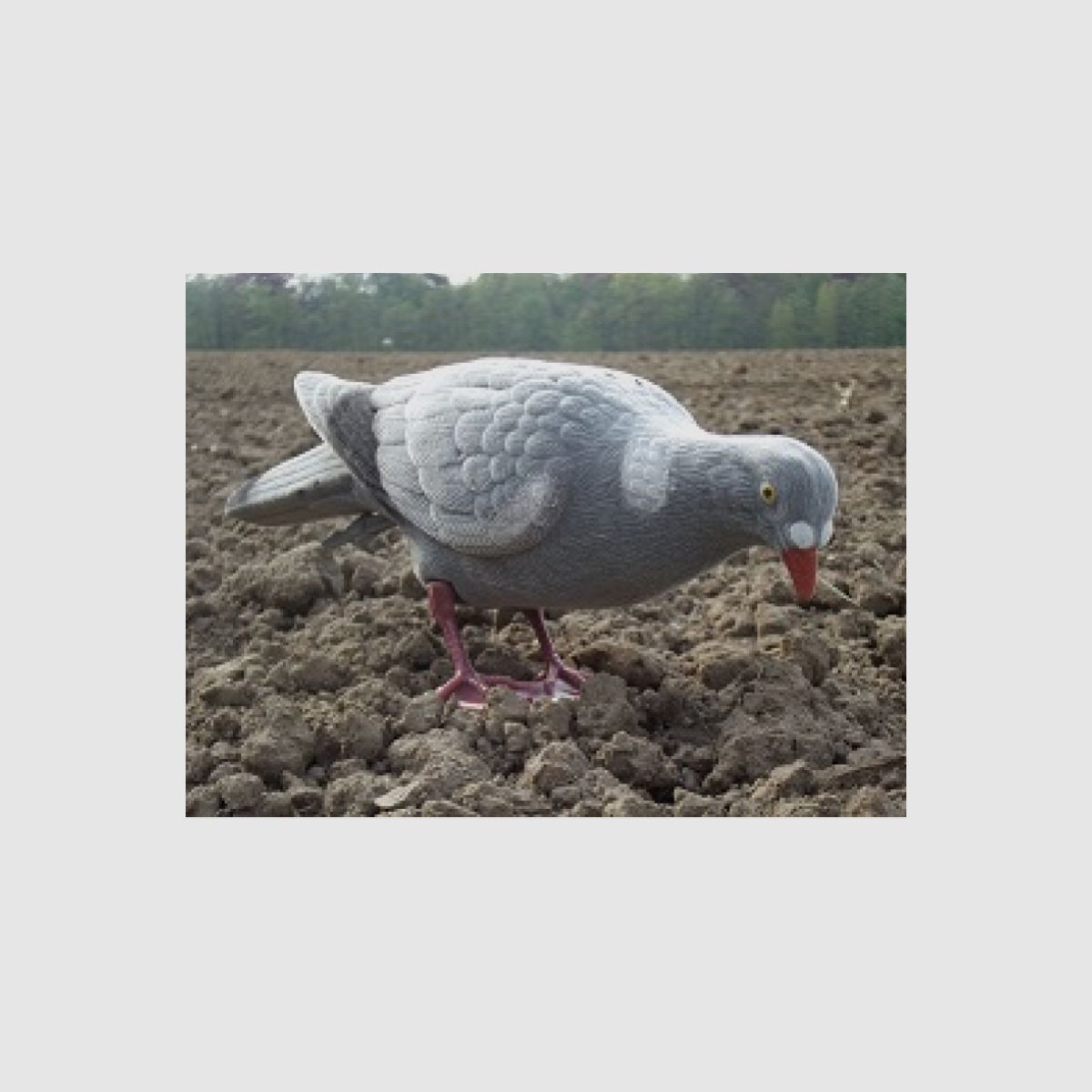 LOCKTAUBE Vollichaam PICKEND beflockt met voet & aardspies