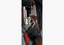 Taurus 65 357.Mag