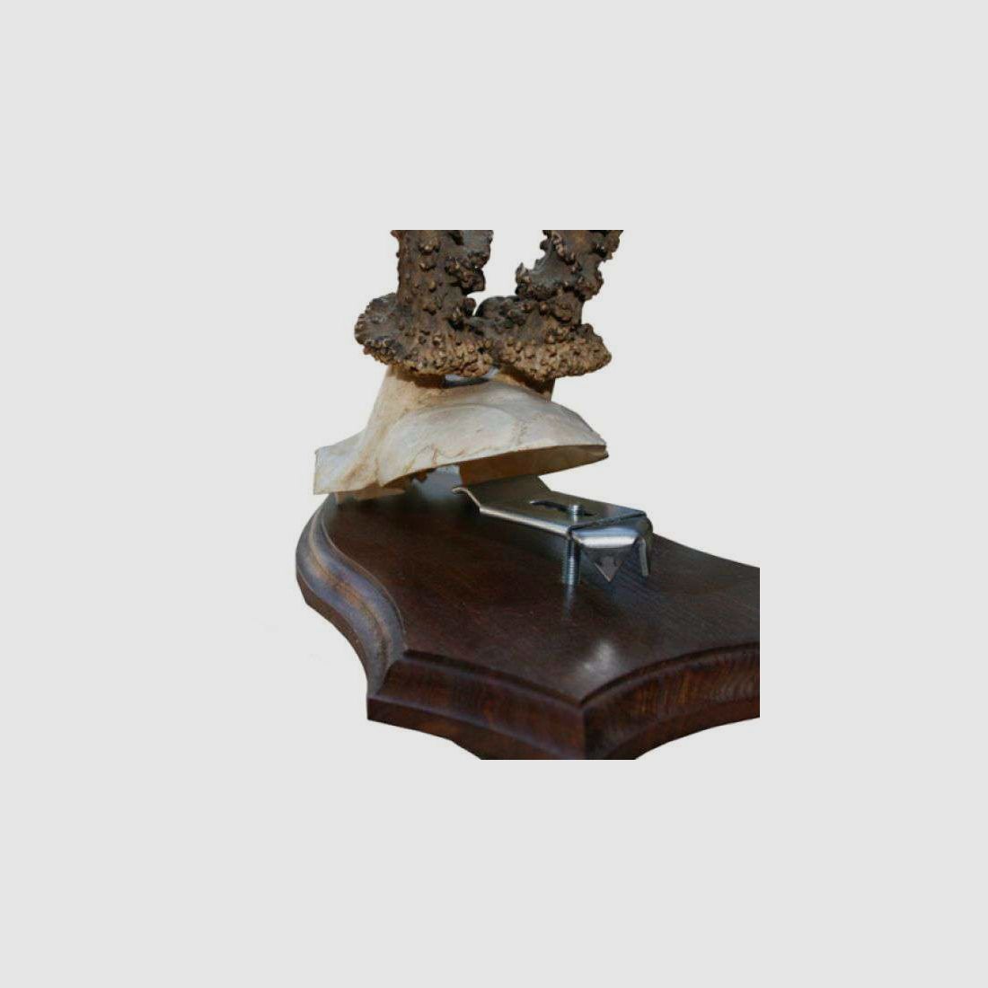 Horn clamps Grip, image 2 of 21