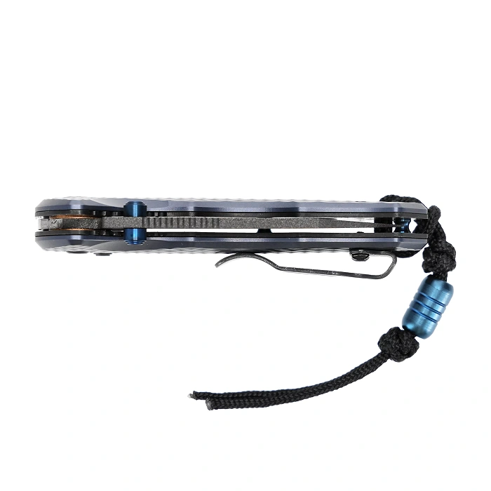 Nóż składany Benchmade 290BK Immunity (290BK), zdjęcie 9 z 12