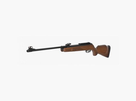 GAMO HUNTER 440