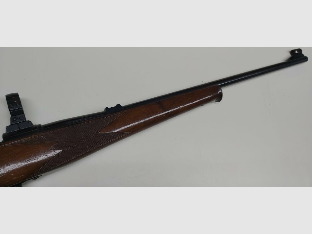 Kriegeskorte - Stuttgart Krico