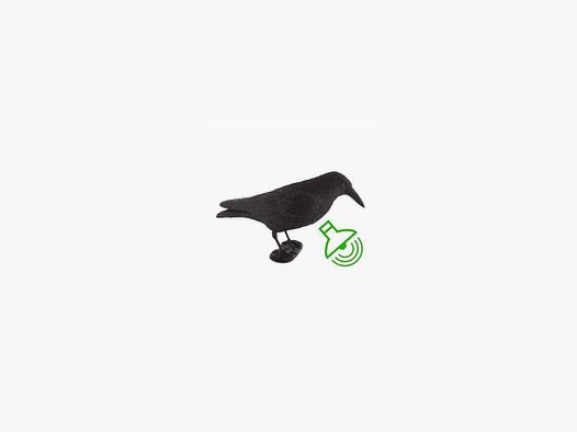 Flocked Crow Decoy