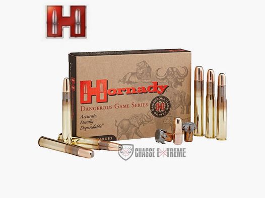 20 cartridges HORNADY Cal 416 Rem 400Gr Dgx Bonded