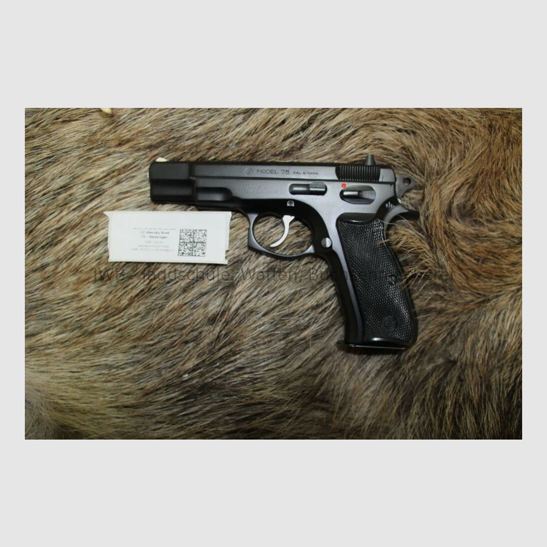CZ Uhersky Brod 75 9mmLuger