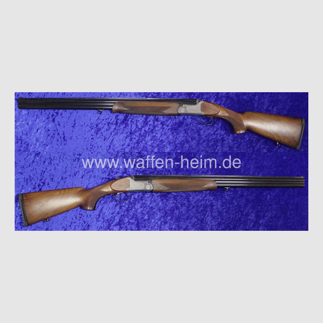 Rottweil 700