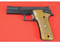 S&W .22lr