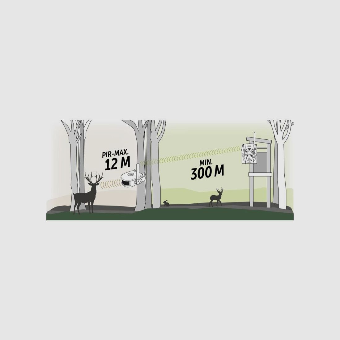 Dörr Funk-Wildbewegungsmelder Set HA-300 camouflage