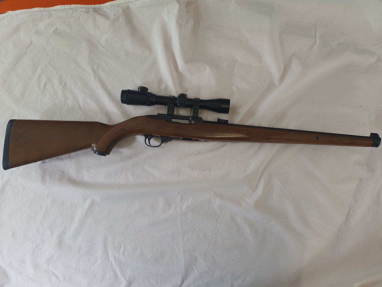 Ruger Selbstladebüchse mit Glas
