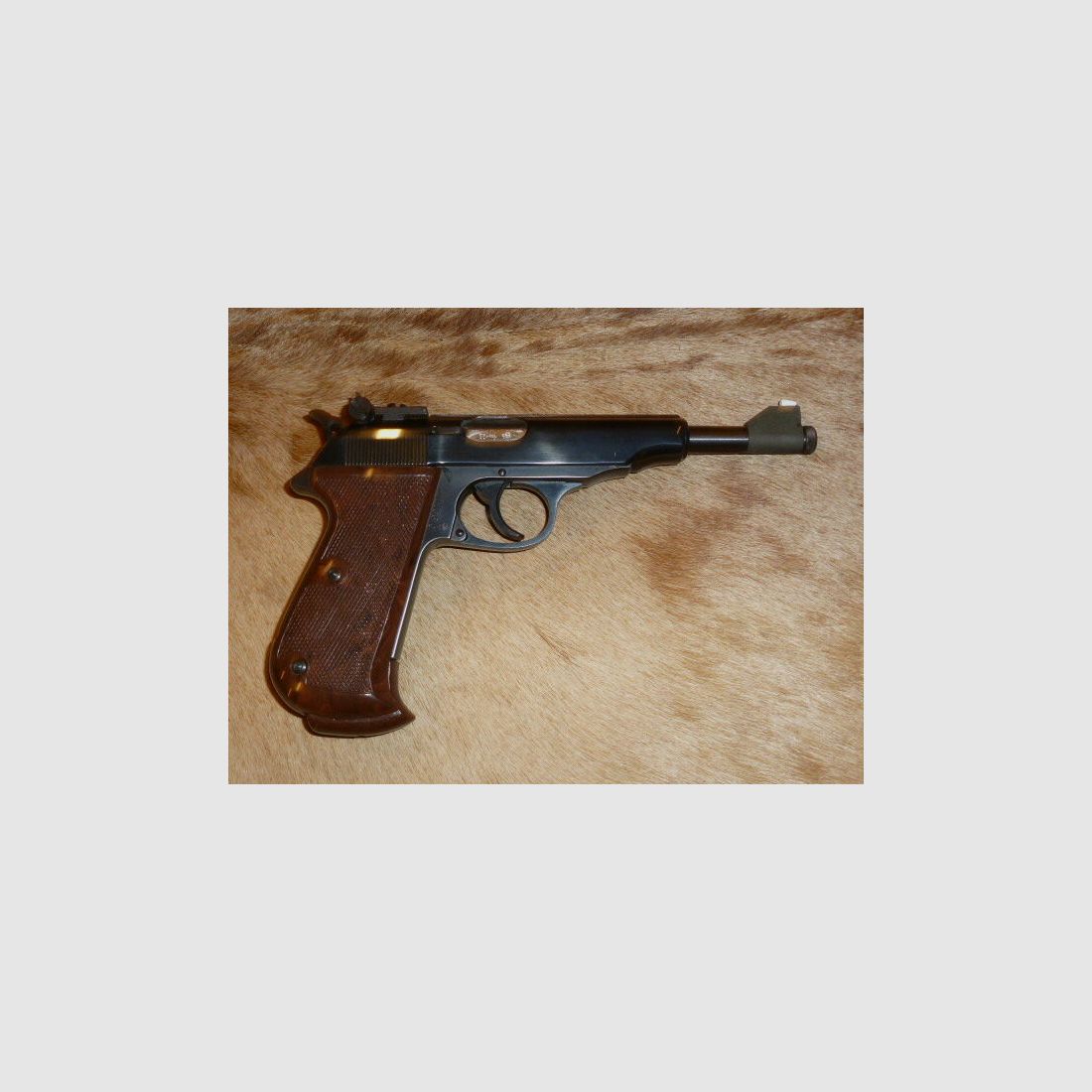 Walther PP Sport C