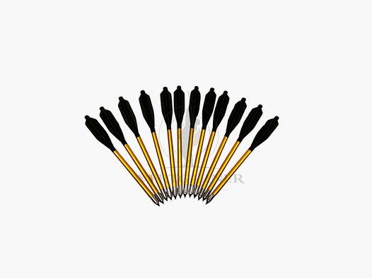 Flèches pour Arbalète de Pistolet 12 Pièces