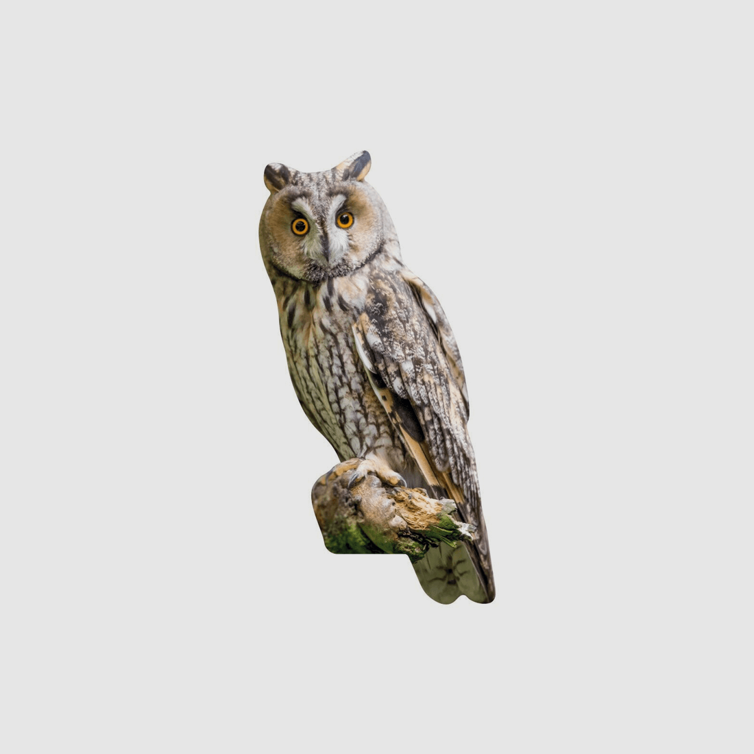 Tieraufsteller Waldohreule