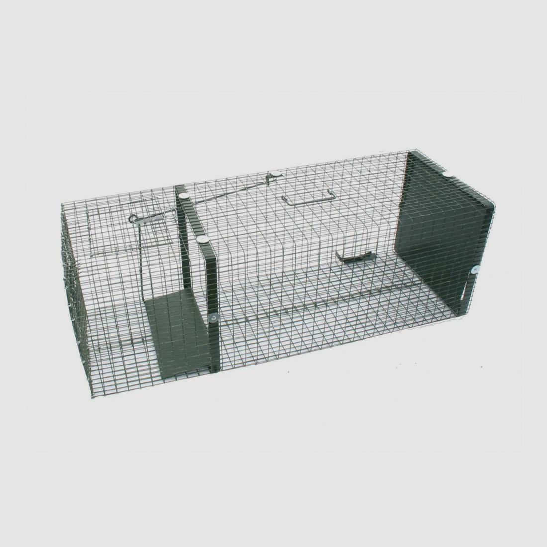 Box 1 Eingang