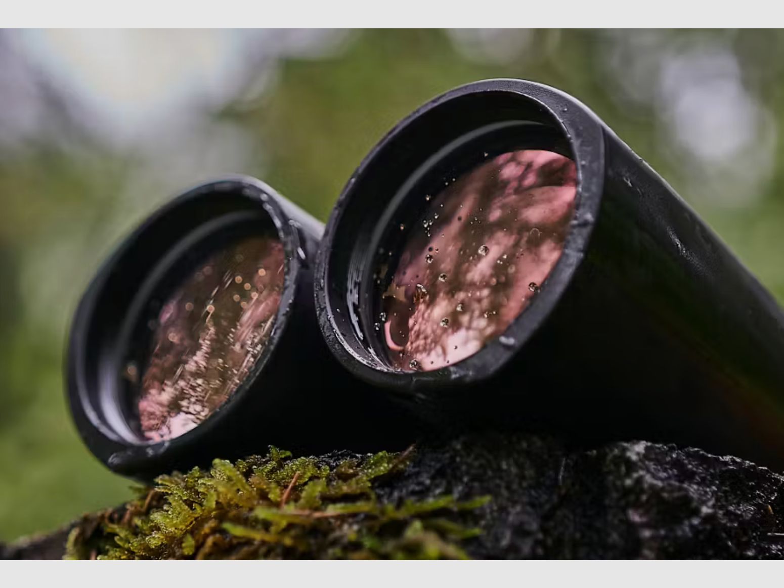 ZEISS Conquest HDX 8x56