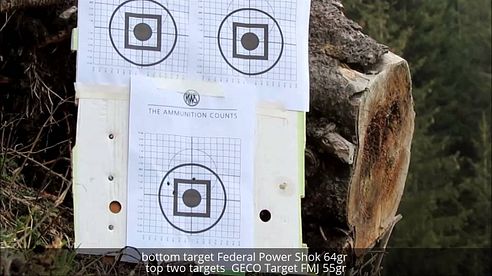 Ruger American .223 Remington Accuracy