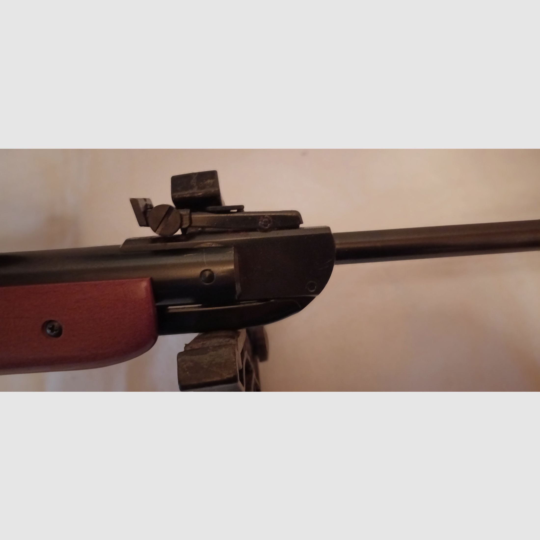 DIANA  35