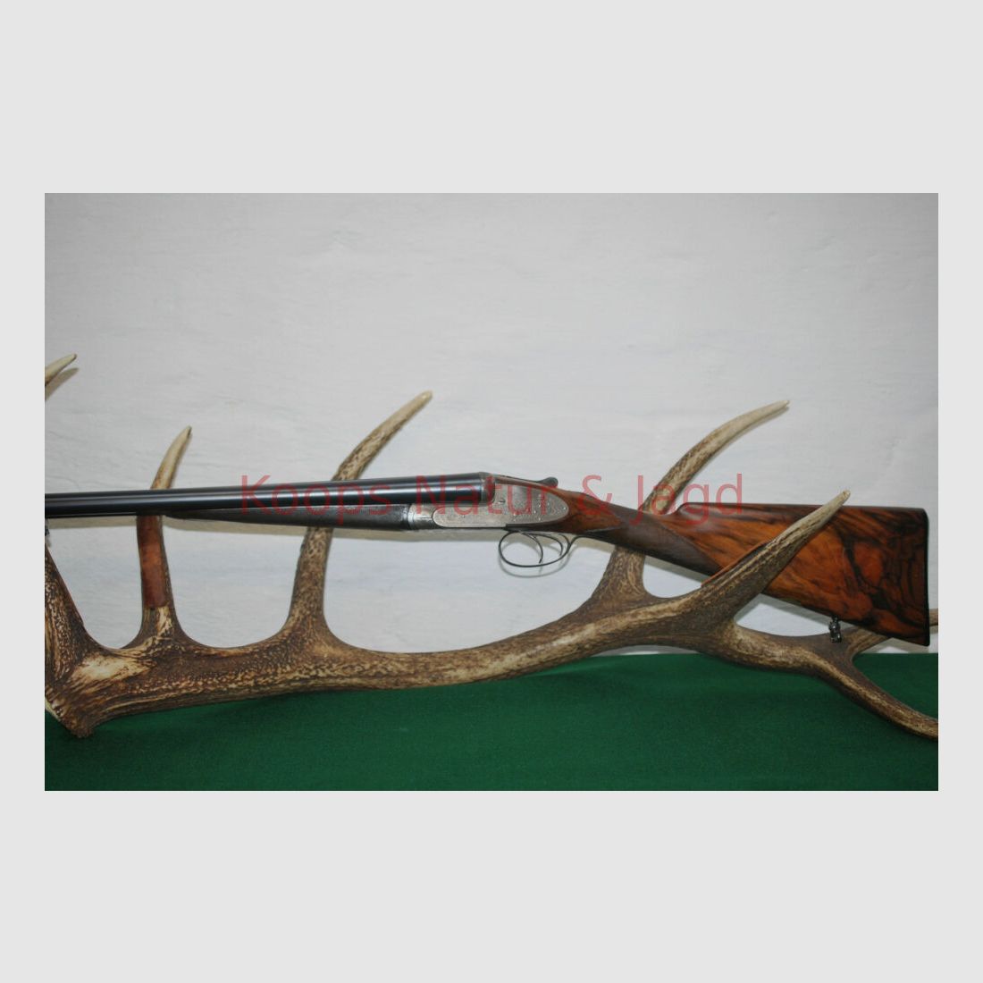 Pirlet