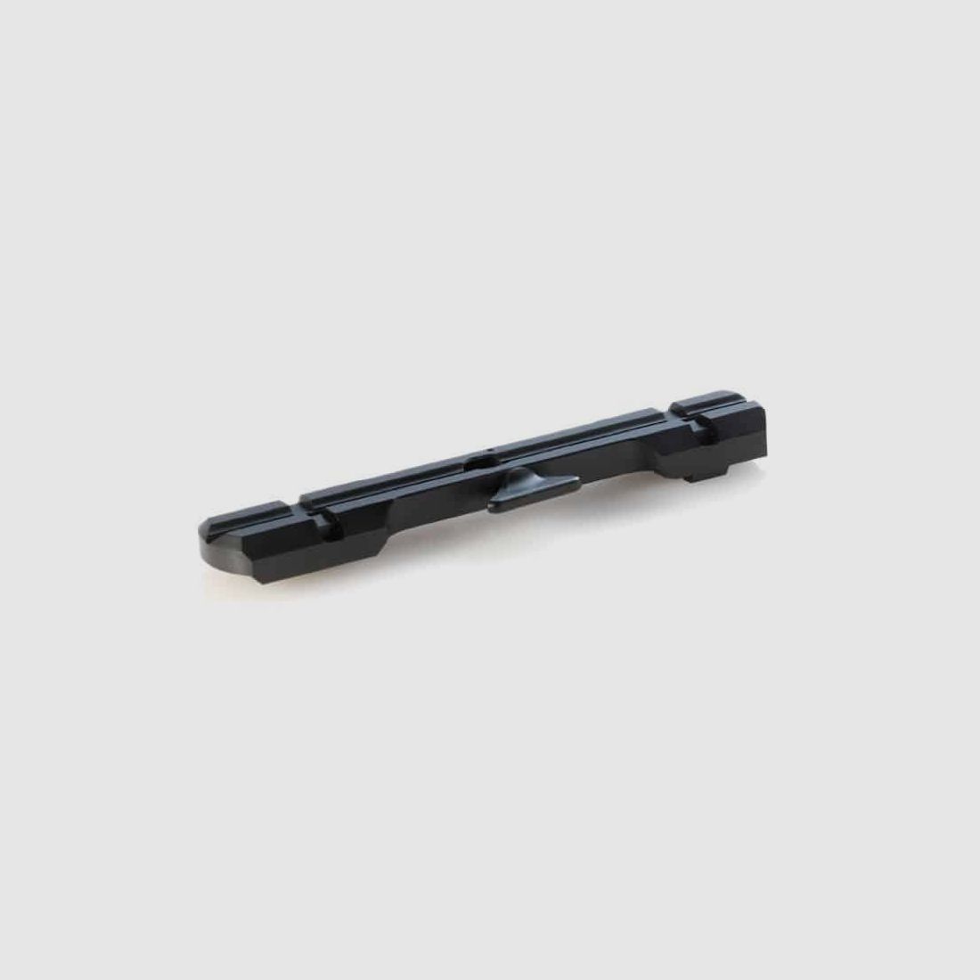 DENTLER Grundschiene – BASIS