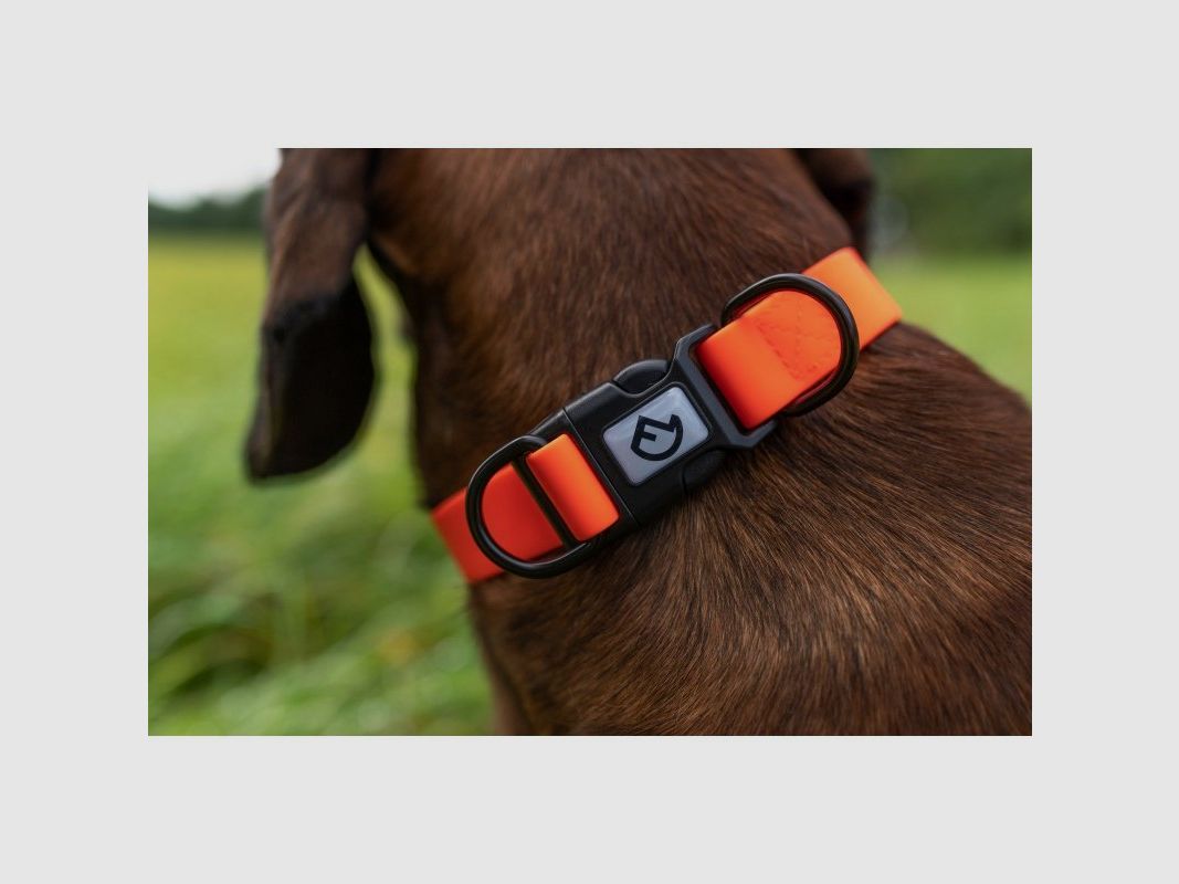 Farm-Land Collar Ajustable Naranja Señal