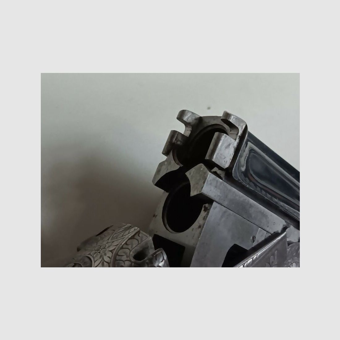 A.S.L. - Italie Turin