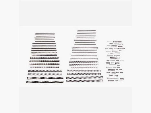 WOLFF COIL SPRING COMBINATION – WOLFF KIT #1610A