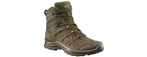 Haix Stiefel Black Eagle Nature GTX