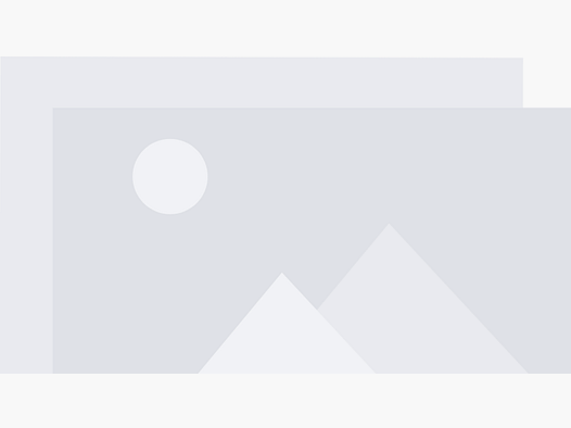 Walther PPQ M2 22lr