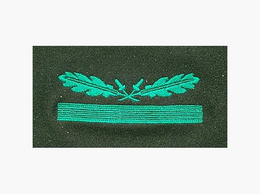 Dienstgradabz. f. Sonderbekl. Untersturmf./Leutnant